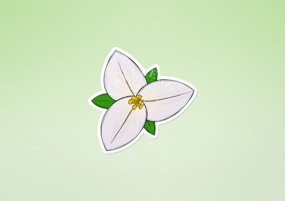 Western Trillium (Trillium ovatum) Vinyl Sticker - Chellekie Creations